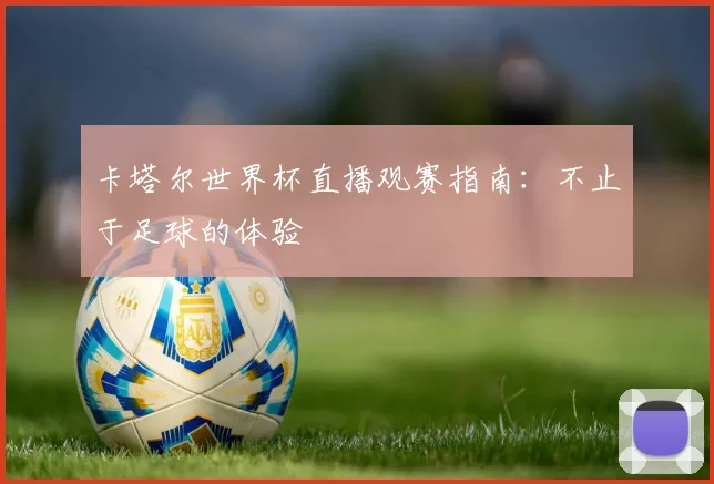 卡塔尔世界杯直播观赛指南：不止于足球的体验