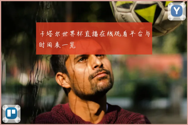 卡塔尔世界杯直播在线观看平台与时间表一览