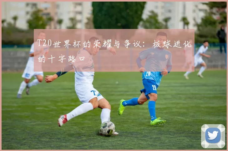 T20世界杯的荣耀与争议:板球进化的十字路口