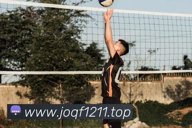 开云app官方入口网页版品牌故事